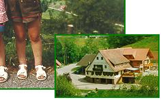 Springhansenhof