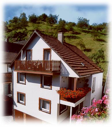 willkommen im Schwarzwald