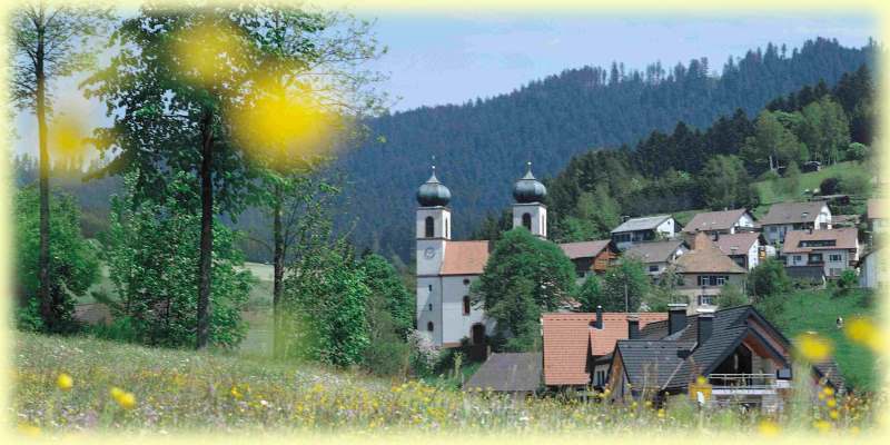 willkommen im Schwarzwald