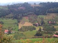 vergrößern