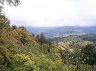 vergrößern