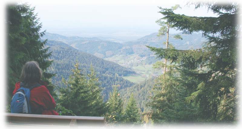 willkommen im Schwarzwald