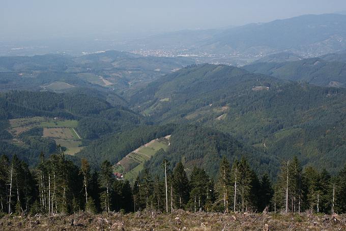 Fenster schließen