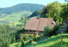 vergrößern